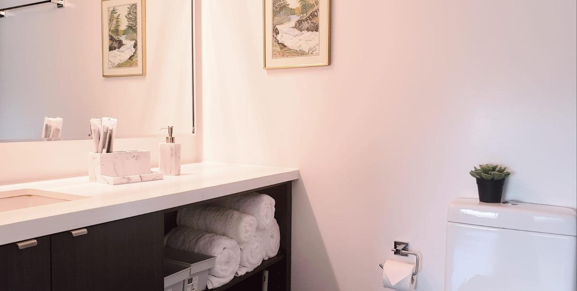 Elegant 2br & 2ba Retreat In Prime Yorkville, Downtown * Toronto